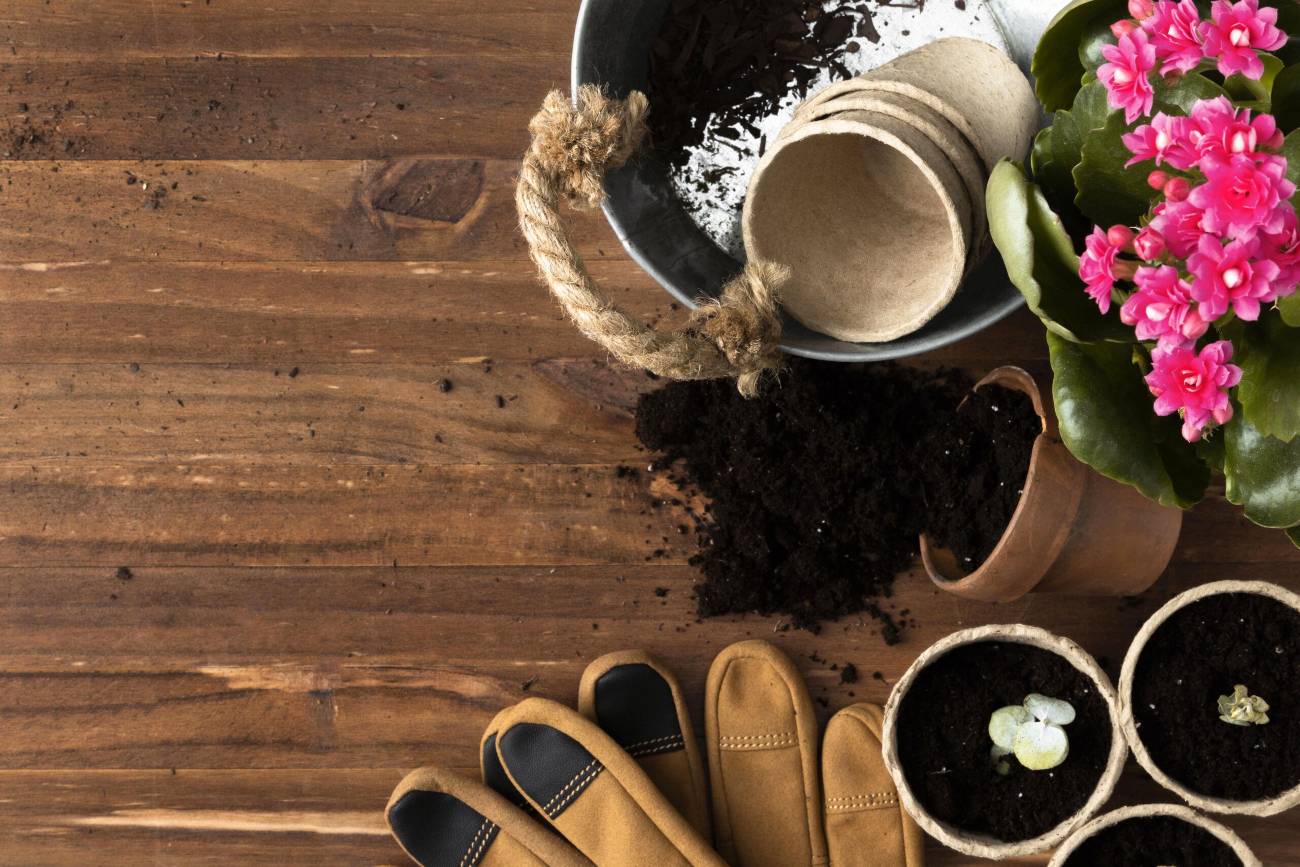 copy-space-tools-gardening