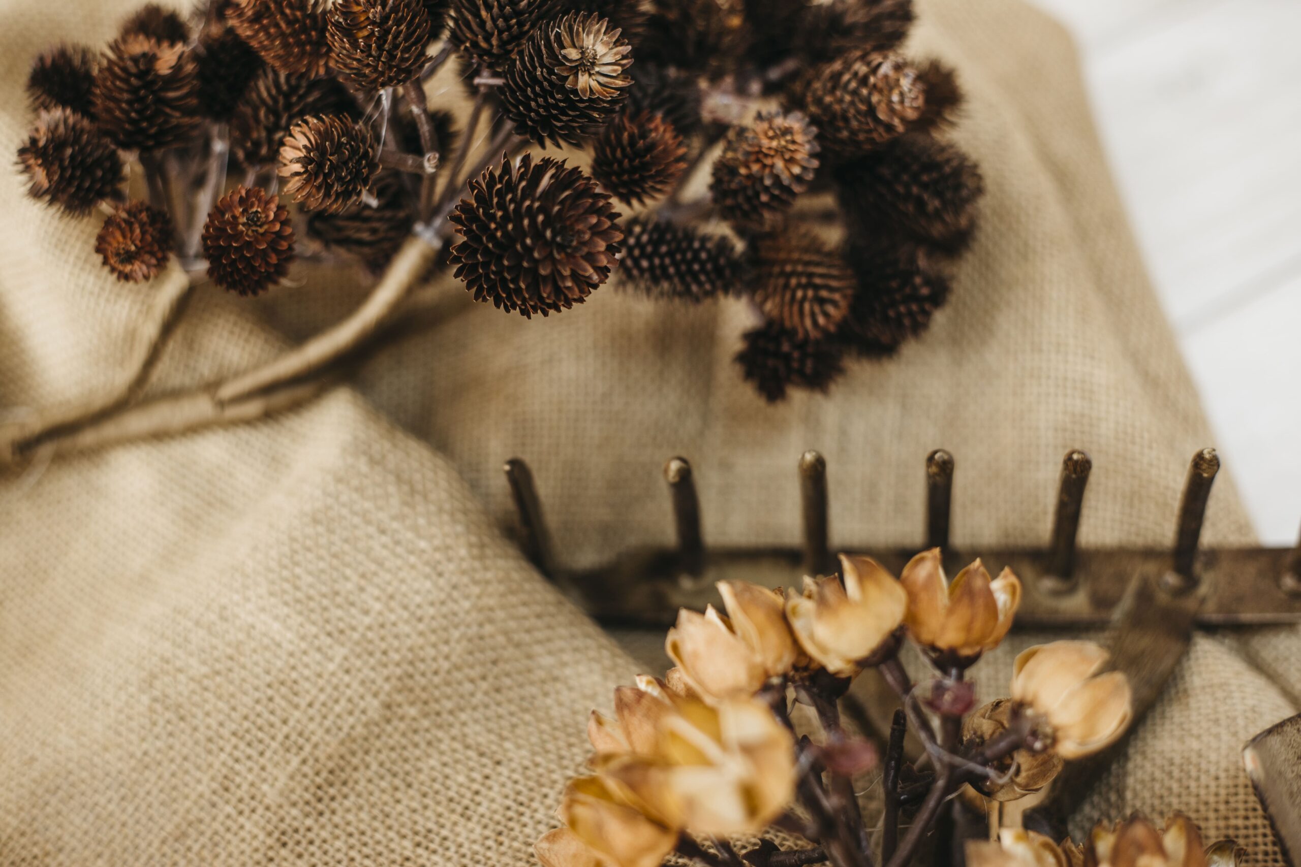 gardening-concept-with-rake-pine-cones (1)