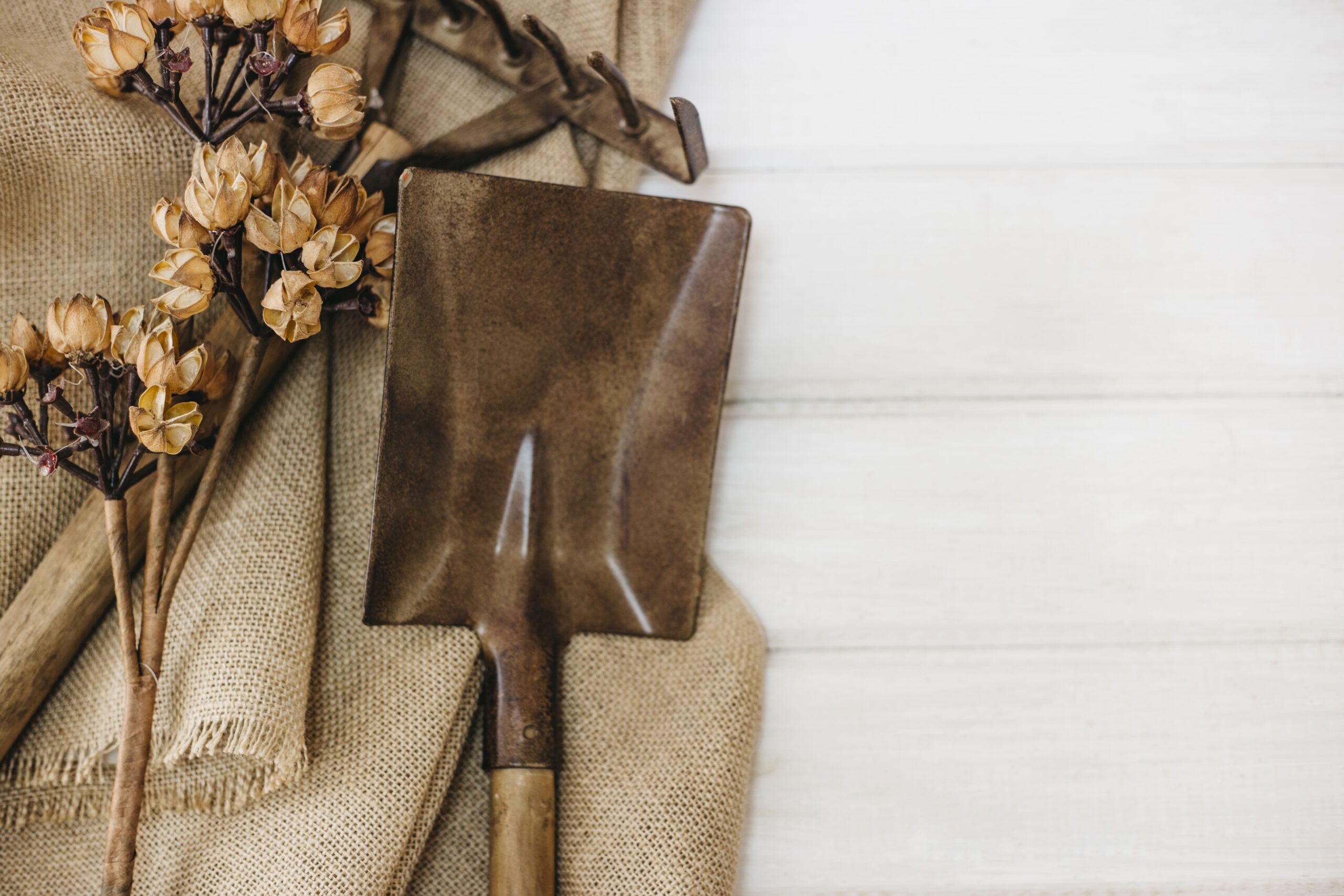 gardening-concept-with-shovel-rake