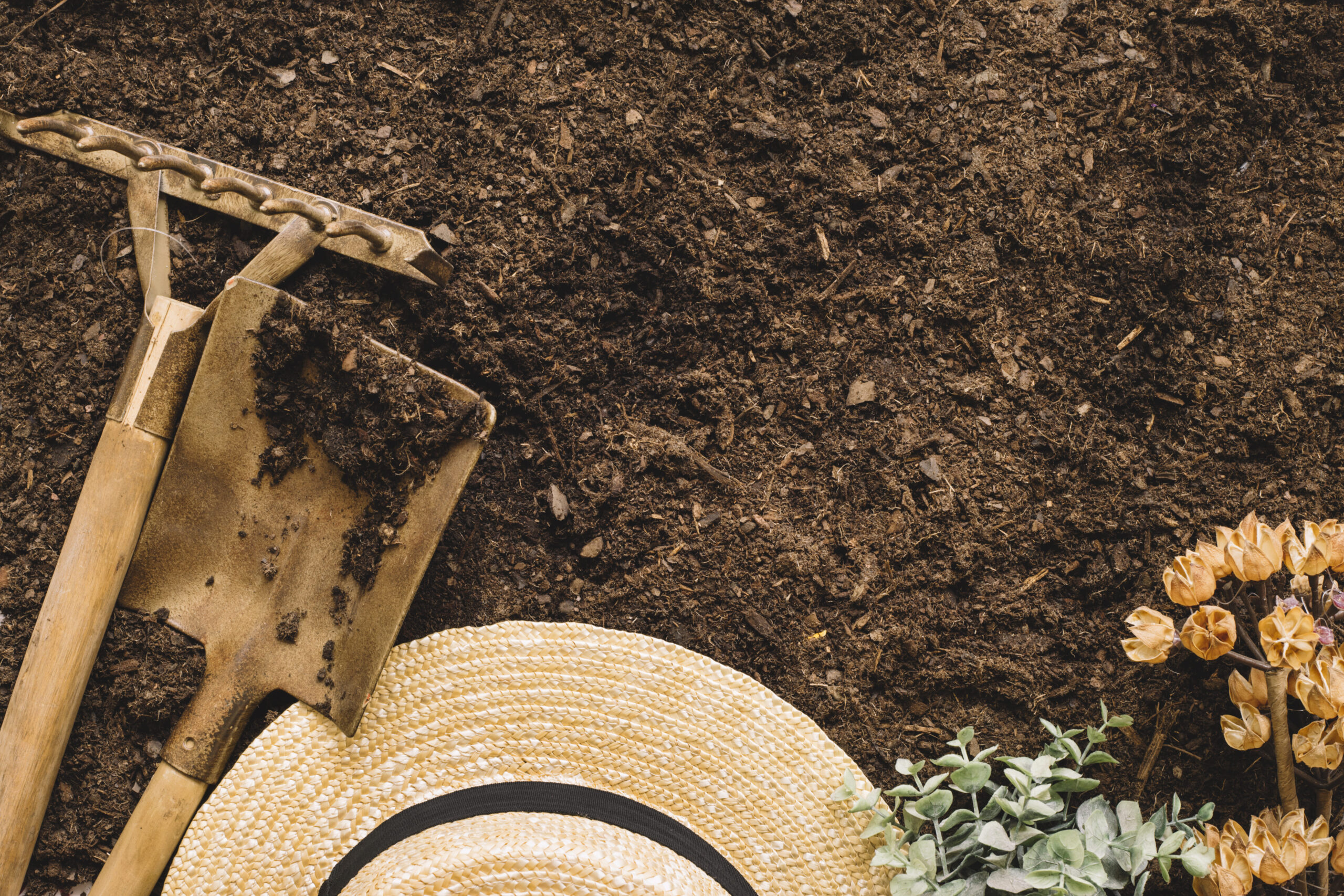 gardening-concept-with-space-top