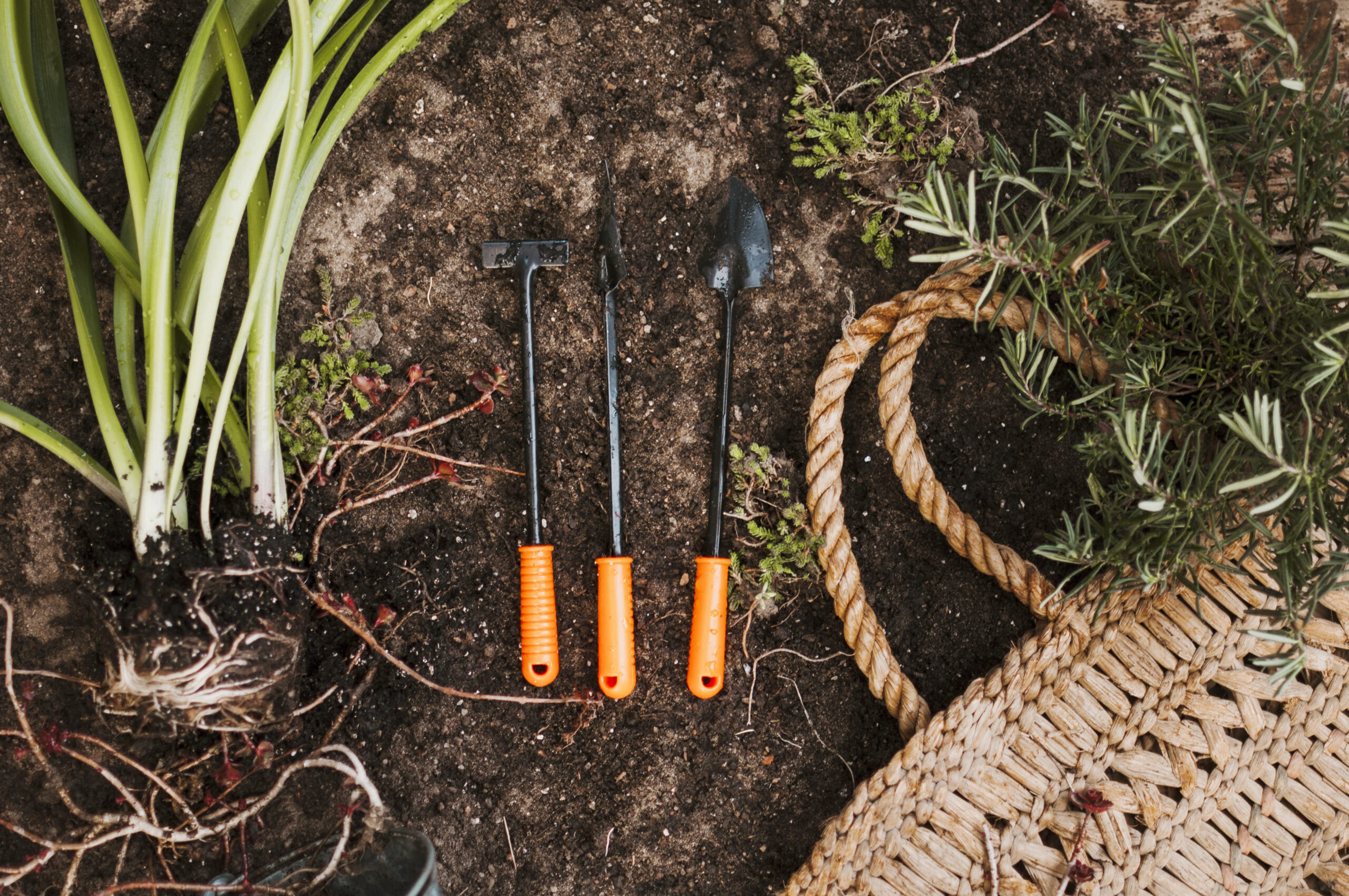 gardening