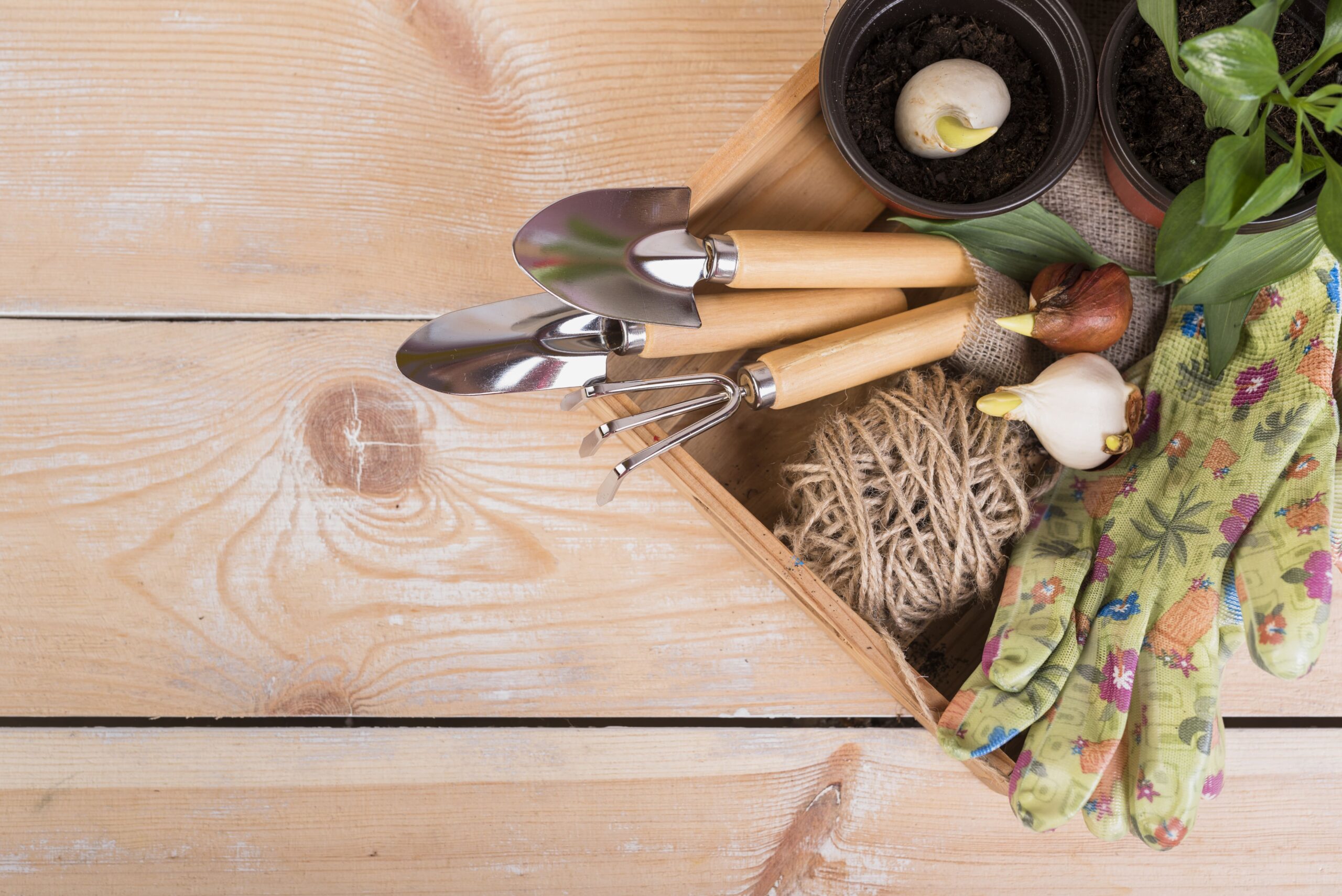 still-life-with-gardening-objects (1)