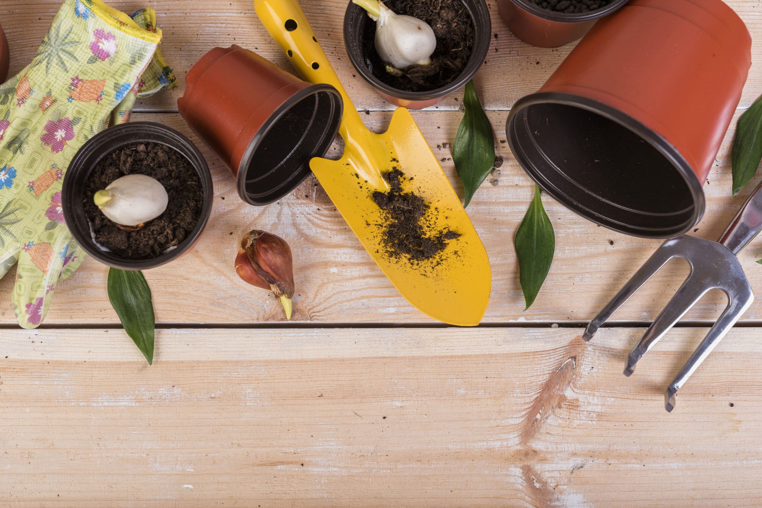 still-life-with-gardening-objects