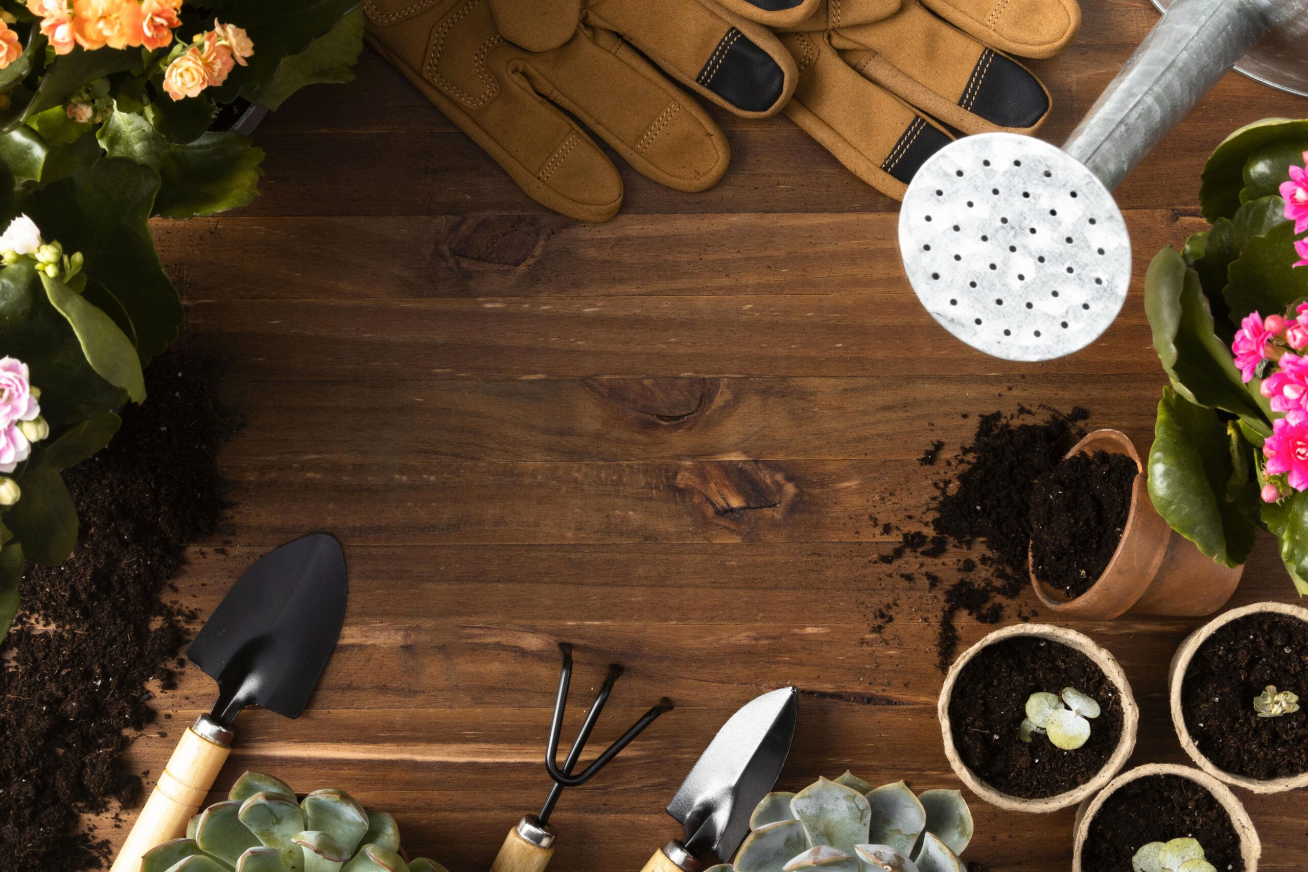 tools-gardening-frame
